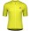 Fahrradbekleidung Radsport 2020 SCOTT ENDURANCE 10 Trikot Kurzarm Outlet gelb
