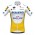 Fahrradbekleidung Radsport 2020 DECEUNINCK QUICK-STEP TdF Trikot Kurzarm Outlet Gelb 5SRRS