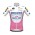 Fahrradbekleidung Radsport 2020 DECEUNINCK QUICK-STEP Giro d' Italia Trikot Kurzarm Outlet fuchsia LGM09
