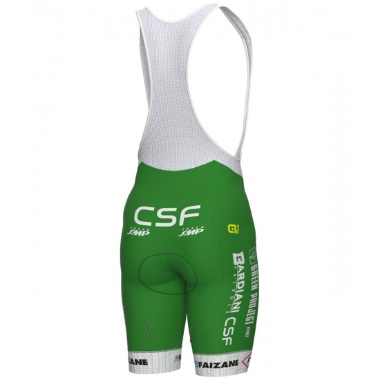 Green Project-Bardiani Csf-Faizane' 2023 Set(Radtrikot langer RV+Trägerhose)-ALE Green Project-Bardiani Csf-Faizane' 2023 Set(Radtrikot langer RV+Trägerhose)-ALE