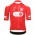 Bekleidung Herren Q36.5 Tour de Suisse 2024 Gregarius Pro trikot-Climber
