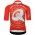 Bekleidung Herren Q36.5 Gregarius Clima Dolomites Extreme trikot-Rot